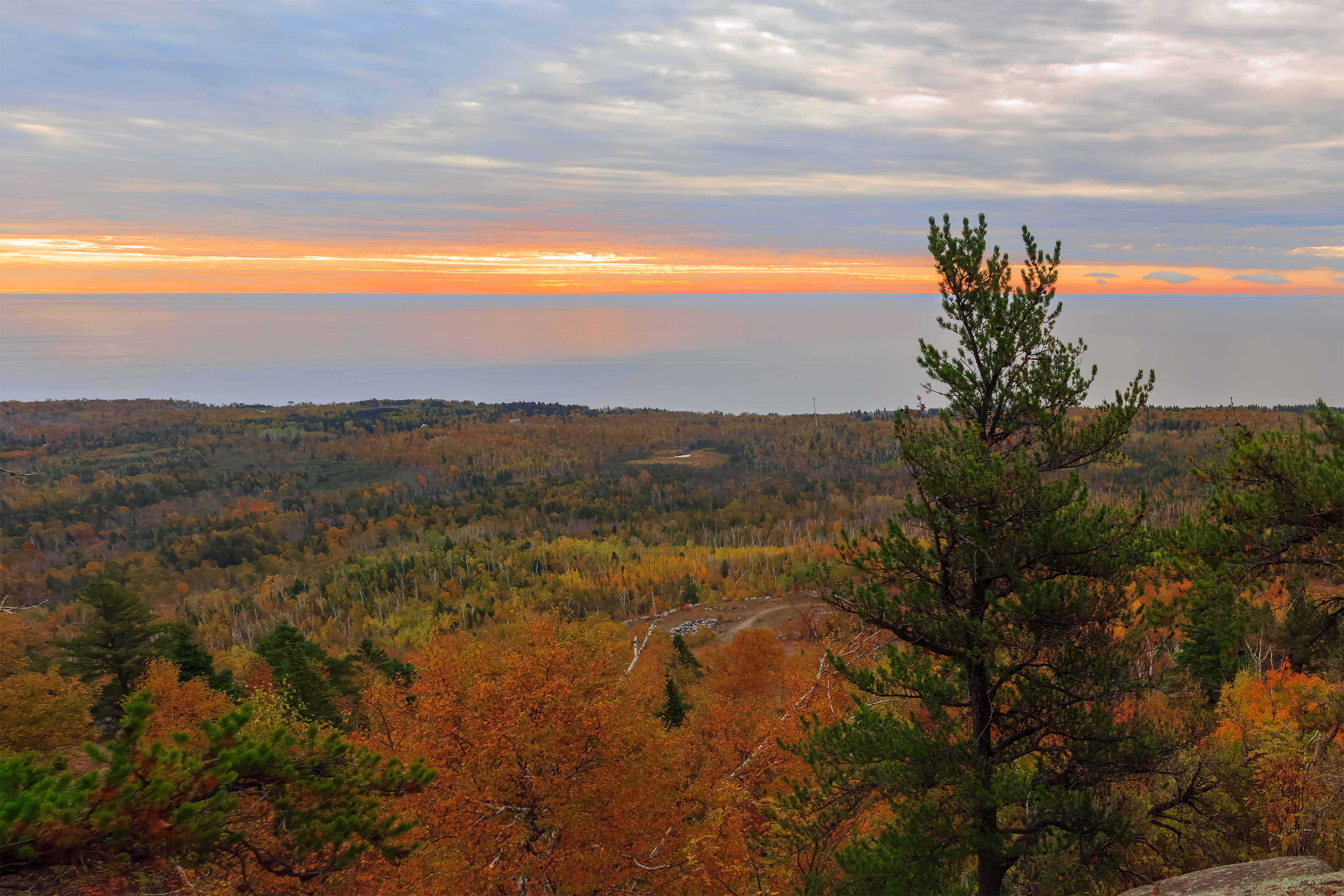 Fall foliage can be seen from an overlook in a forest in Minnesota during one of the best times of year.