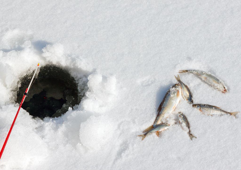 A hole drilled in the ice-covered lake with fish sitting next to it.