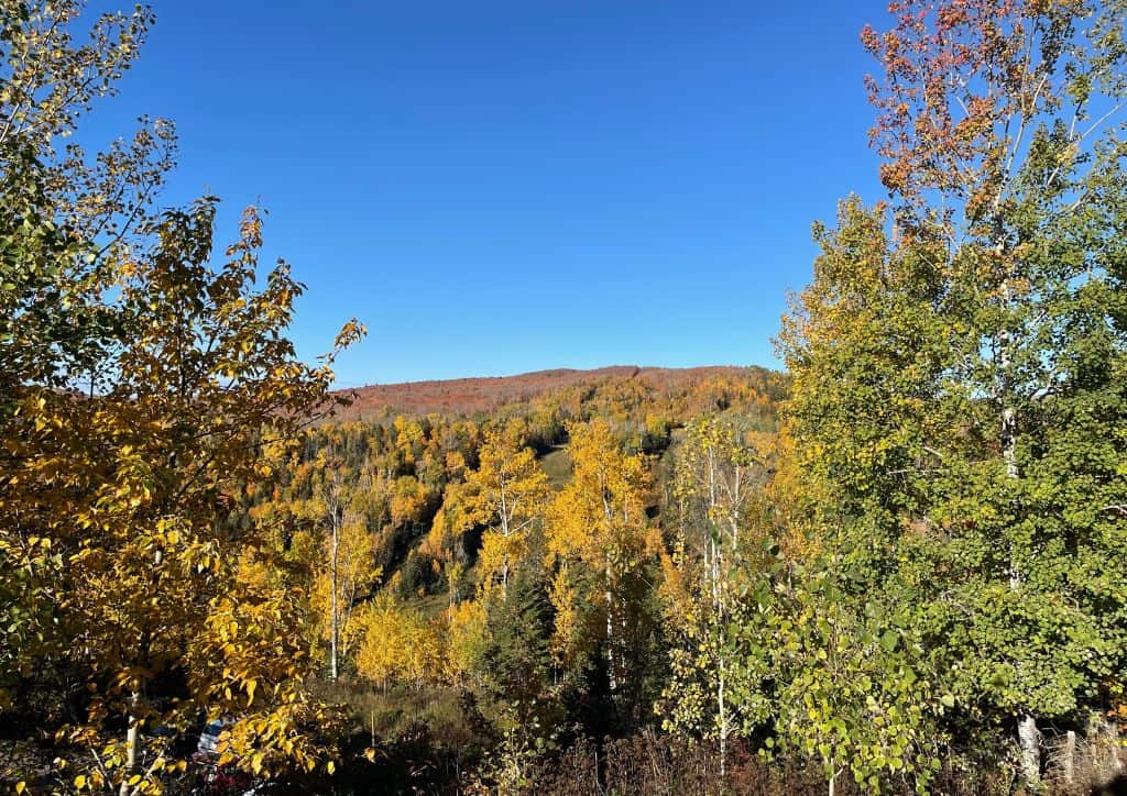 A view of the North Shore from Silver Bay.