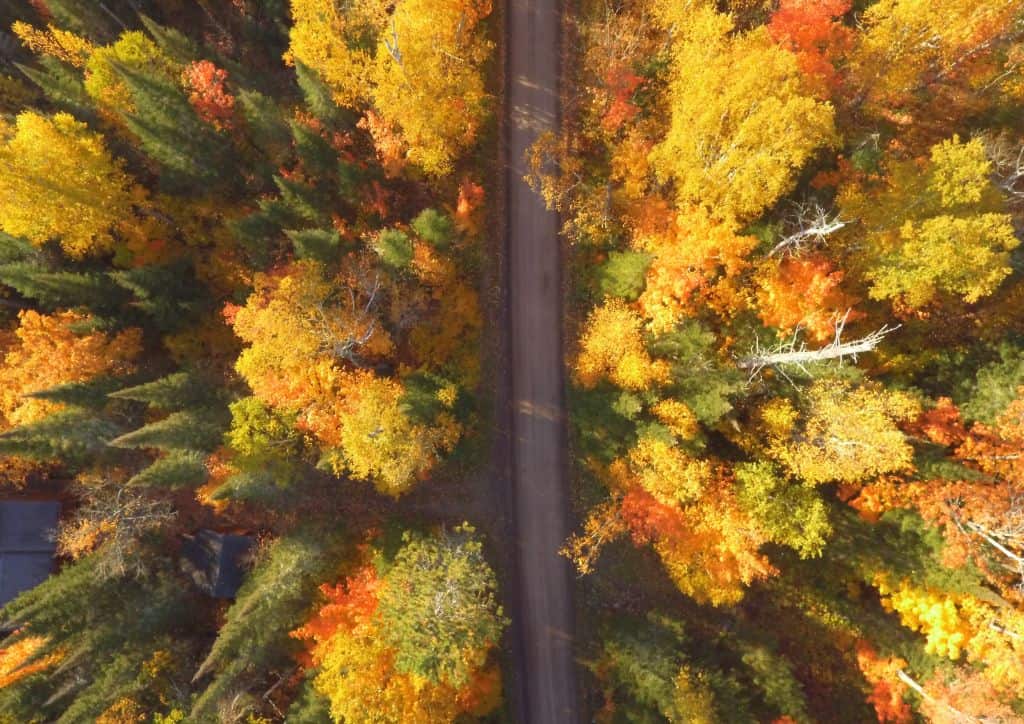 A view of colorful fall foliage on trees on a dirt road on the North Shore as seen from a drone.