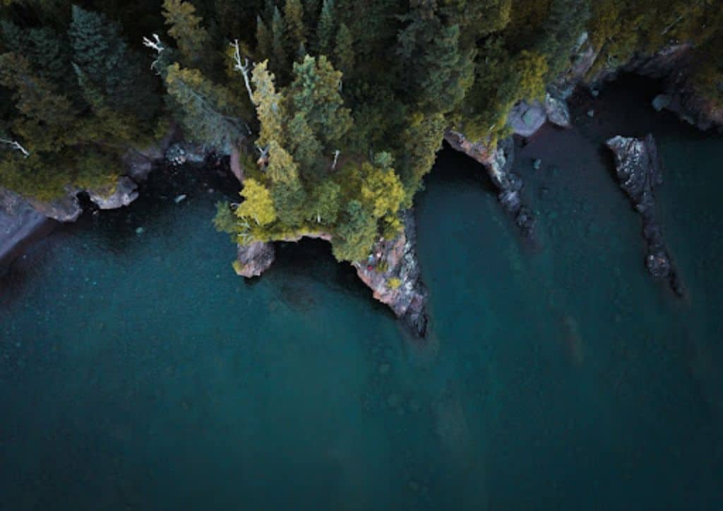A view of a lake coastline from above.