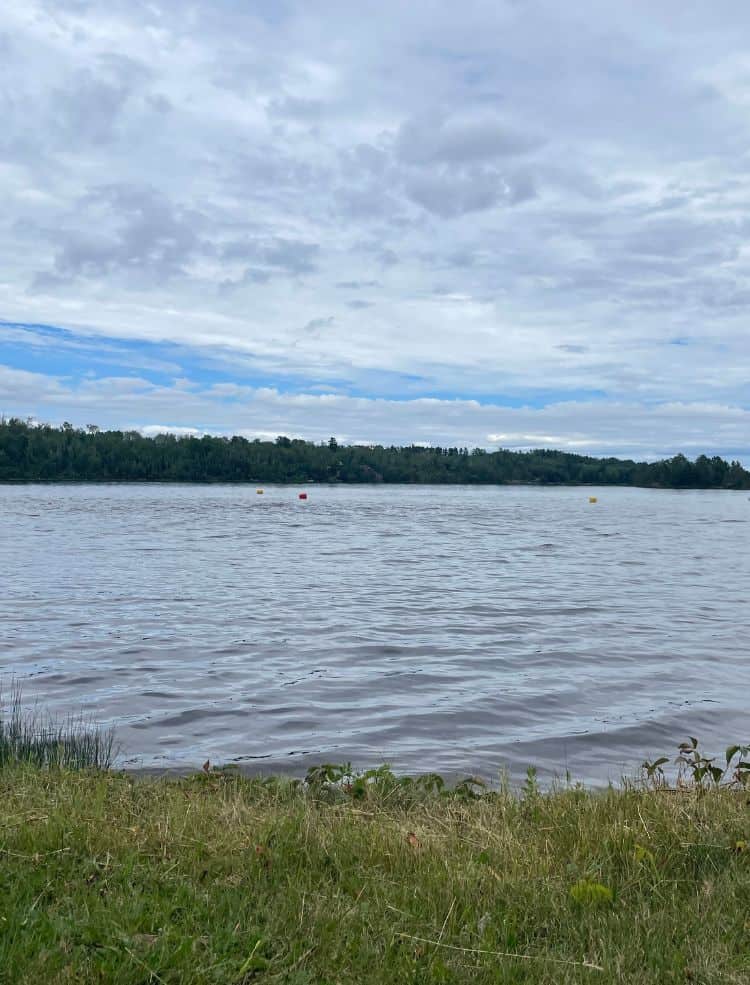A large lake with trees in the background, as seen from shore.