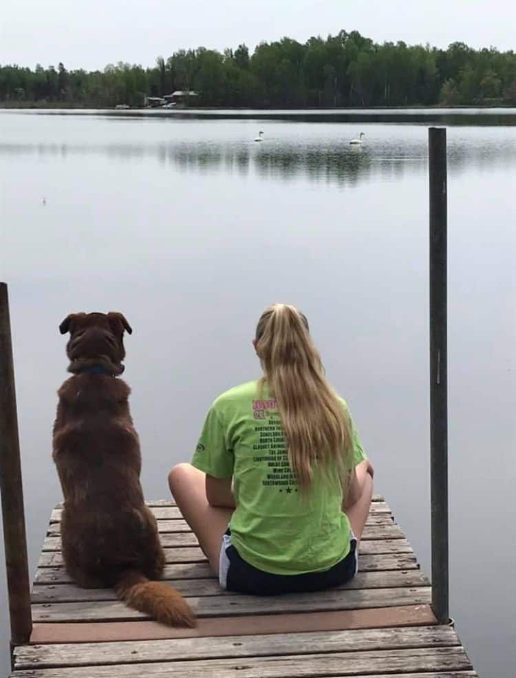 Myself and my dog watching swans in the lake from a dock.