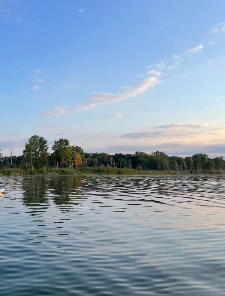 A view of a lake where you can take a dog swimming in Minneapolis.