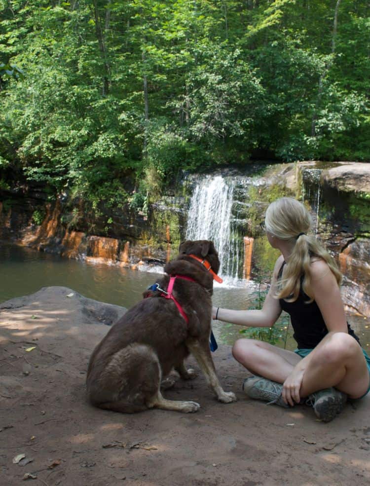 Myself and my dog near a waterfall on a trip from Duluth to Minneapolis.