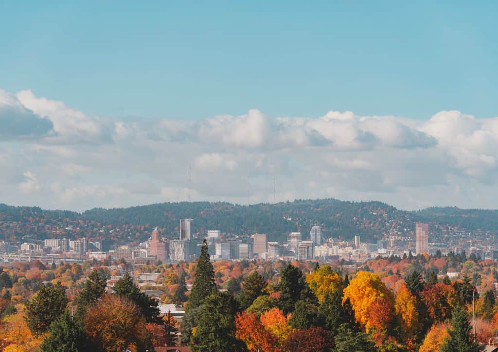 A view of the city of Portland with fall foliage in the foreground.