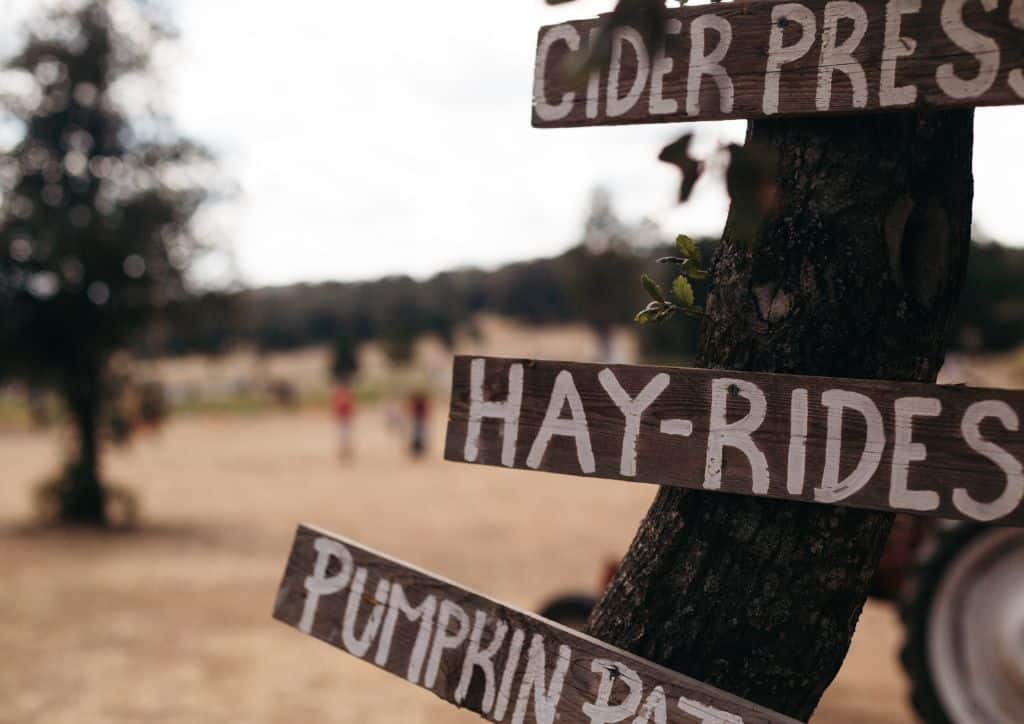 A crooked sign that reads hay rides and pumpkin patch.