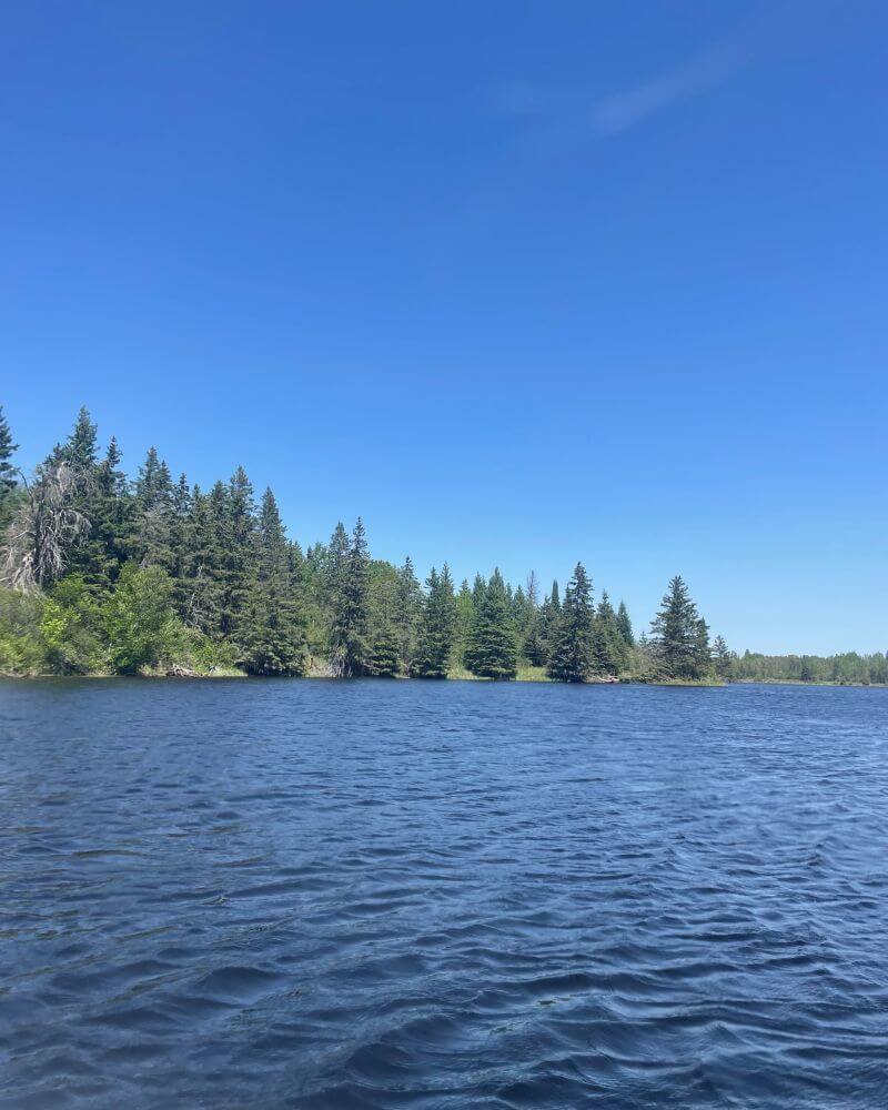 A lake with trees on the shore during summer, which is tornado season in Minnesota.