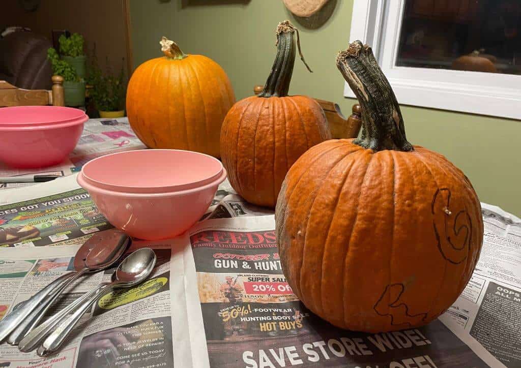 Three pumpkins on a table for carving as well as a pink bowl for the seeds.